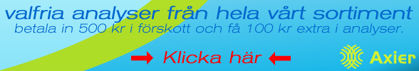 Styckvis Analys
